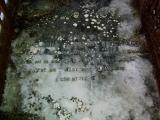 image of grave number 455771